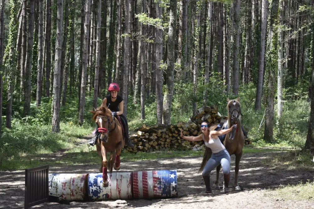 Cours d'équitation près de Val-de-Marne