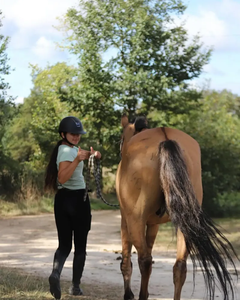 poney-isabelle